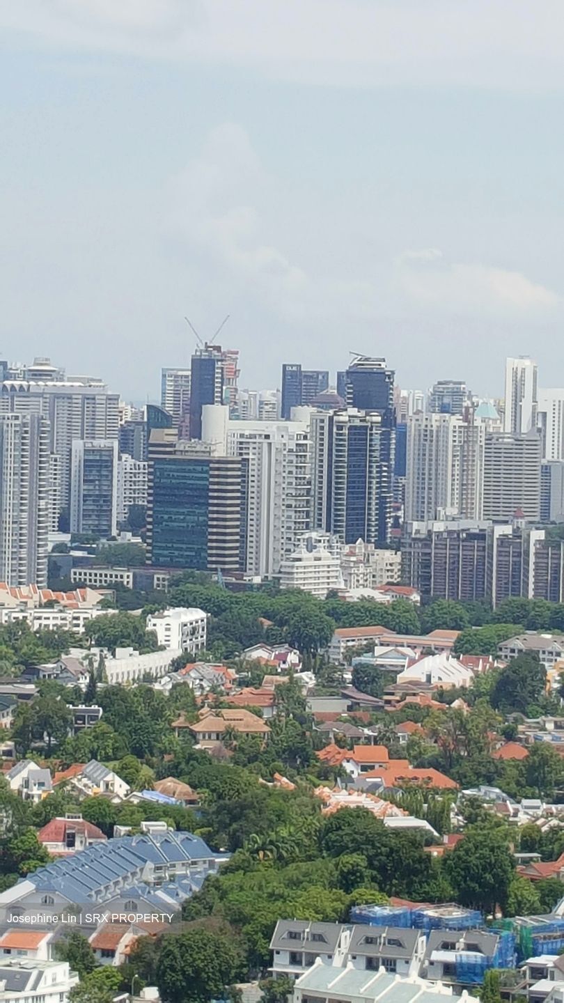 Sky@Eleven (D11), Condominium #555721371